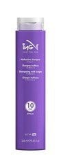Мультифункціональний шампунь ING Styling Multiaction Shampoo 10 in 1, 250 мл