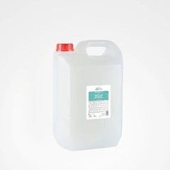 Design Look Shampoo Detox Mint Шампунь освіжаючий тонізуючий для гибокого очищення, 5л (Оригінал)