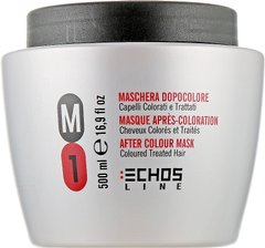 Маска для фарбованого та пошкодженого волосся Echosline М1 Color Care 500мл
