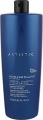 Шампунь для волосся зволожуючий Artistic Hydra Care 1000 мл (Оригінал)